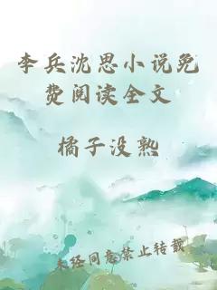 李兵沈思小说免费阅读全文