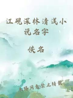 江砚深林清浅小说名字