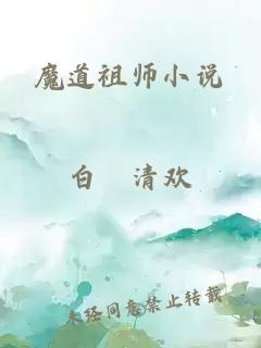 魔道祖师小说