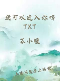 我可以进入你吗TXT