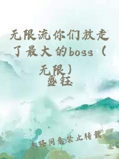 无限流你们放走了最大的boss（无限）