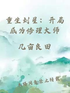 重生刘星：开局成为修理大师