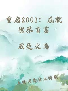 重启2001：成就世界首富