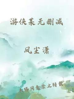 游侠某无删减