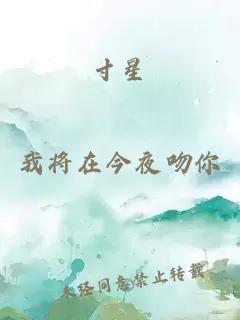 寸星