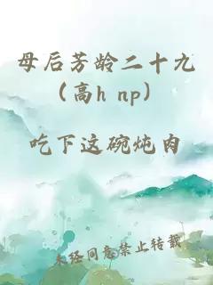 母后芳龄二十九（高h np）