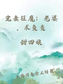 宠妻狂魔：老婆，求负责