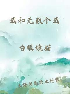 我和无数个我