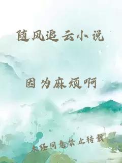 随风追云小说