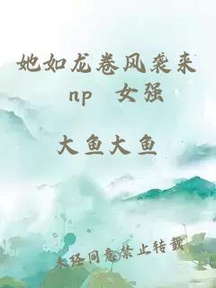 她如龙卷风袭来 np 女强