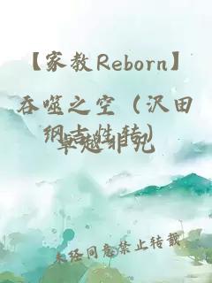 【家教Reborn】吞噬之空（沢田纲吉性转）