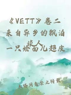 《VETT》卷二 来自异乡的飘泊旅人